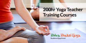 200 hour Yoga Teacher Training 