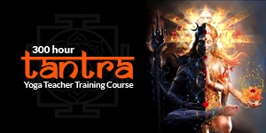 300 hour Yoga Teacher Training 